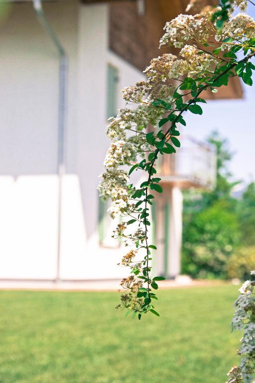Agriturismo Locanda De L'Arguta Trydent Zewnętrze zdjęcie